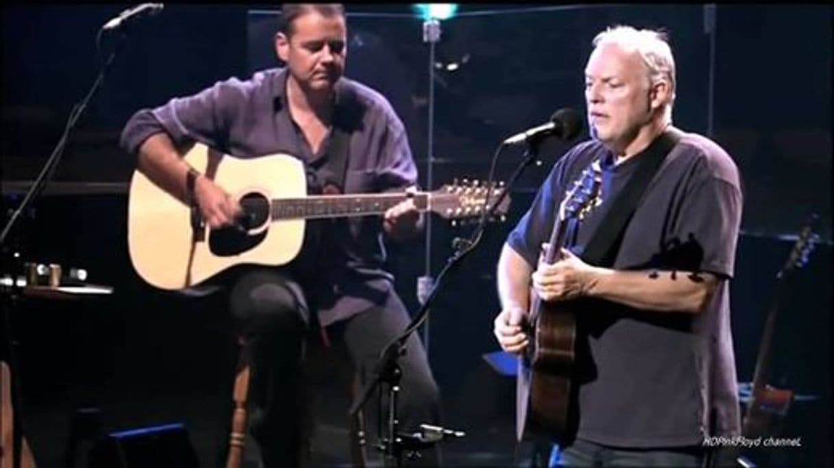 Moda David Gilmour - Wish You Were Here 