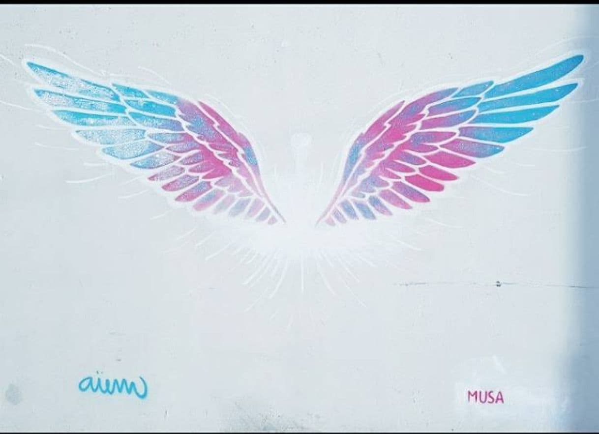 Place Musa Wings