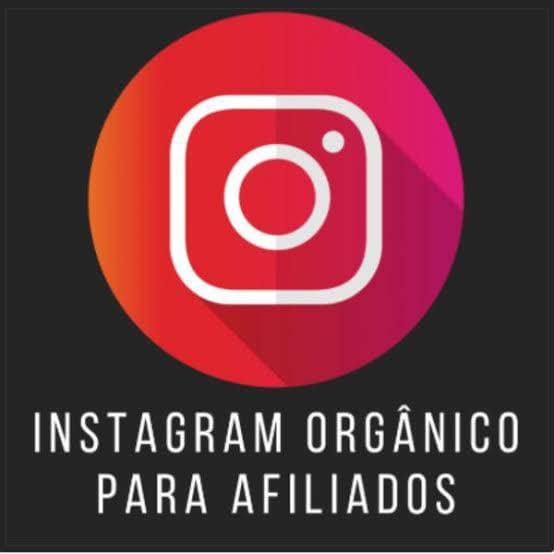 Fashion Curso instagram orgânico 