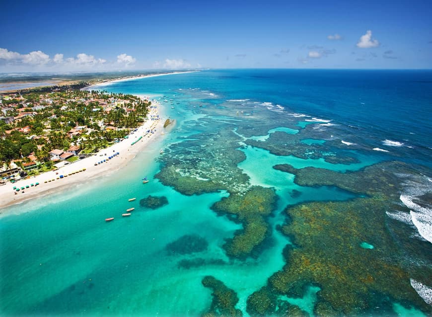 Place Praia . Porto De GALINHAS.