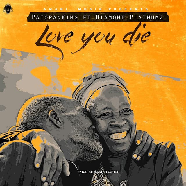 Music Love You Die (feat. Diamond Platnumz)