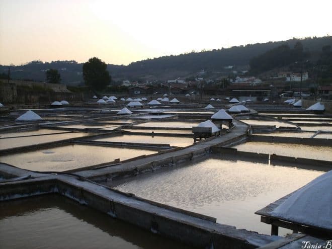 Lugar Salinas de Rio Maior