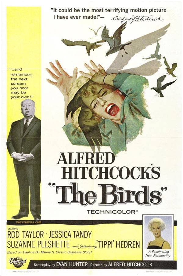 Película The Birds