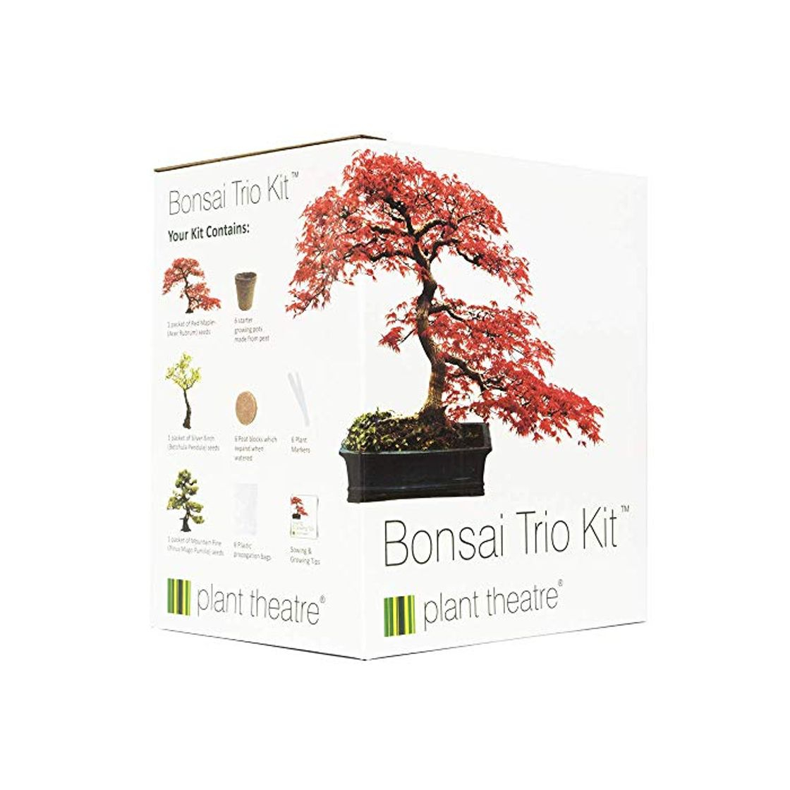 Producto Plant Theatre