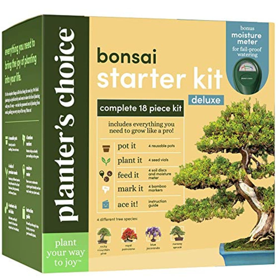 Producto Bonsai