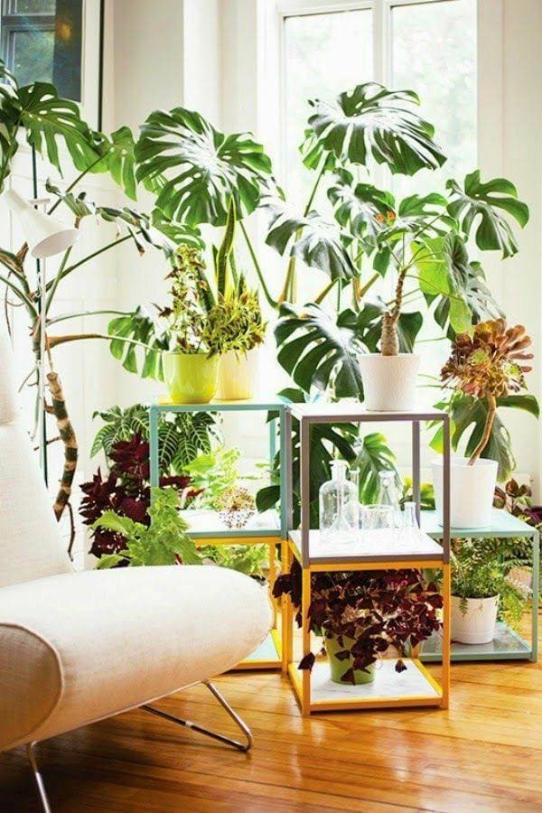 Fashion Qualquer decoração fica linda com plantas😍💚