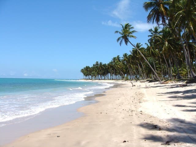 Place Praia dos Carneiros