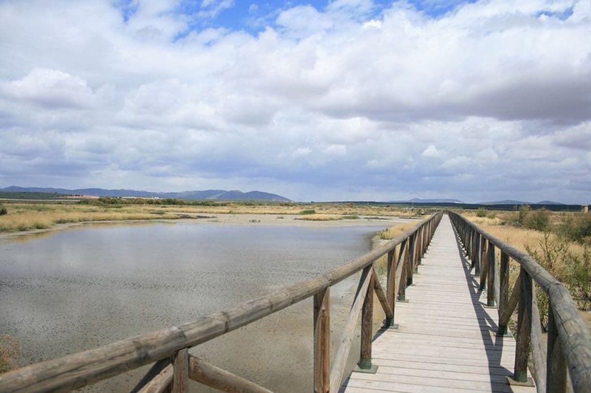 Lugar Laguna de Fuente de Piedra