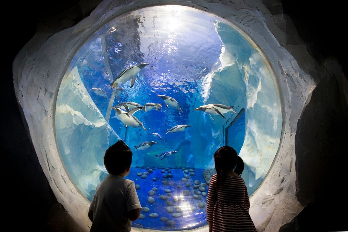 Lugar National SEA LIFE Centre Birmingham