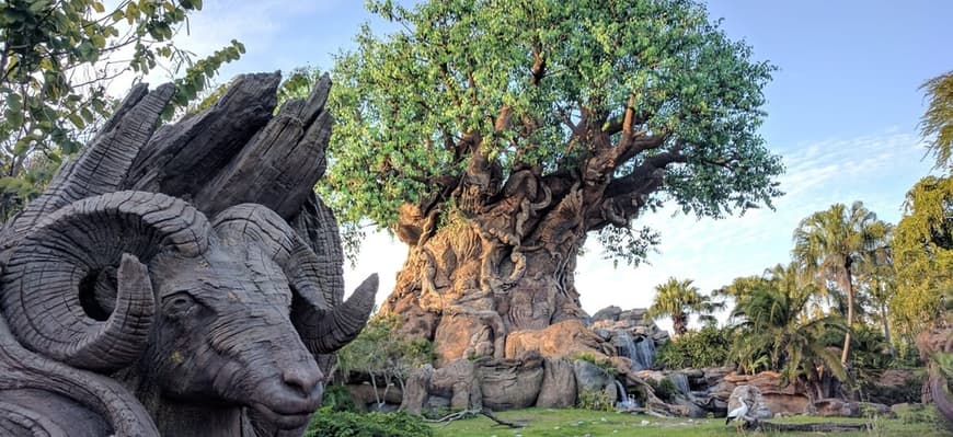 Lugar Animal Kingdom