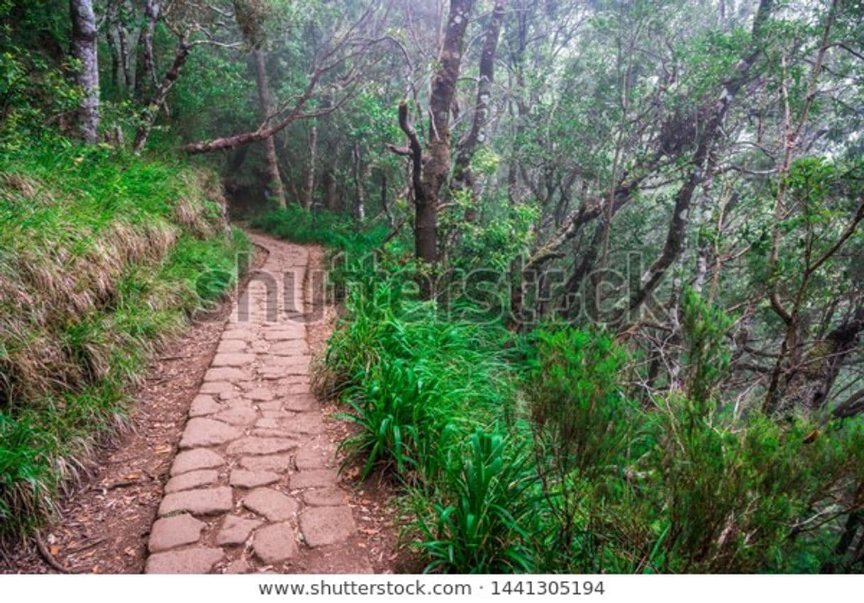 Place Levada dos Balcões