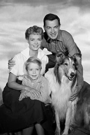 Serie Lassie