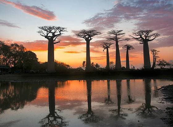 Lugar Madagascar