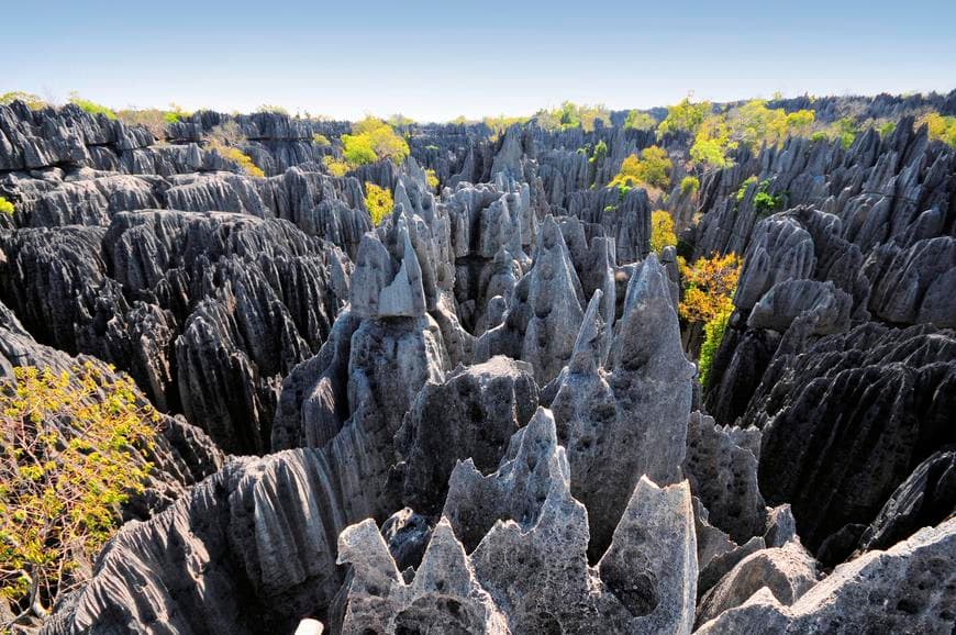 Lugar Bemaraha National Park