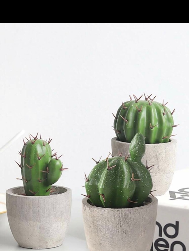 Producto Decoración cactus   