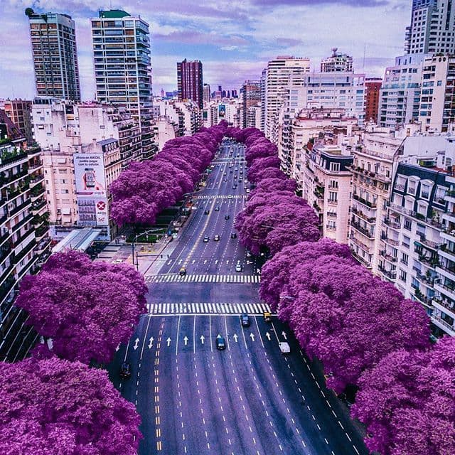 Place Buenos Aires