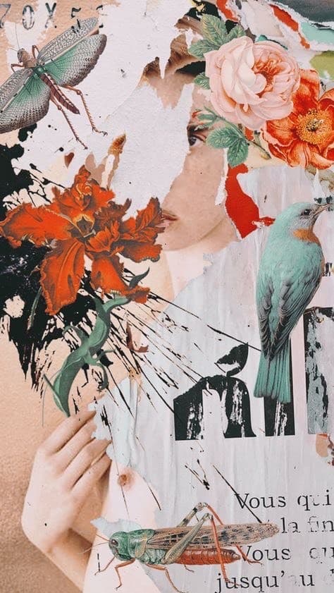 Fashion Wallpaper Tumblr 🌈