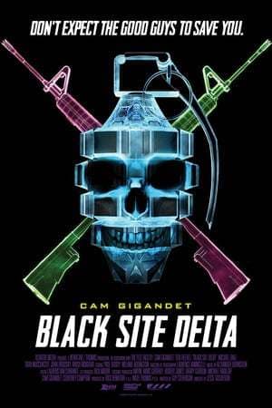 Película Black Site Delta