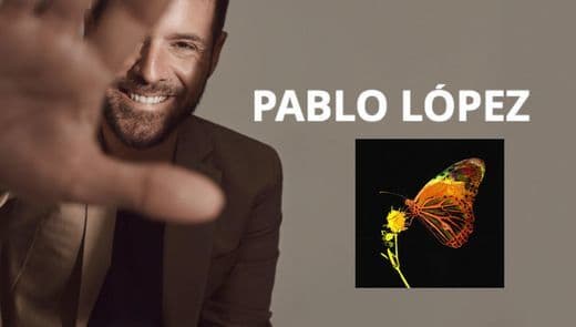 Fashion Pablo López - Mariposa
