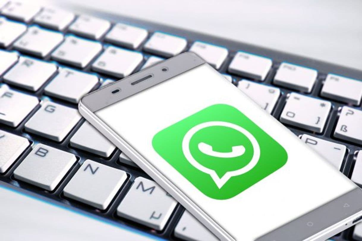 Fashion TECNOLOGÍA
El truco de WhatsApp para saber qué contactos est