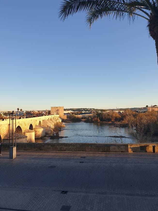 Place Puente Romano de Córdoba