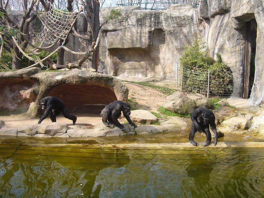 Lugar Zoo Barcelona