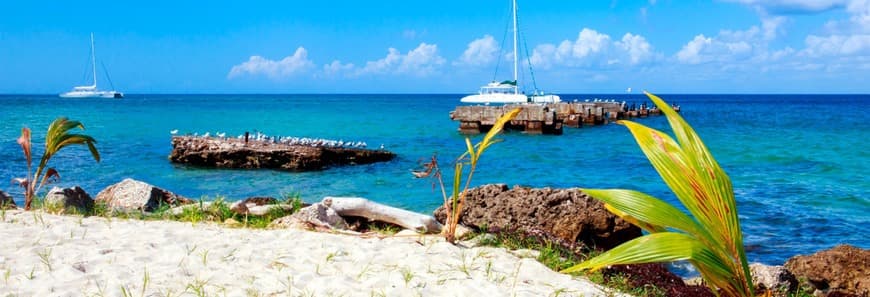 Lugar Isla Saona Bayahibe La Romana