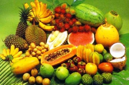 Moda Frutas de la República Dominicana.