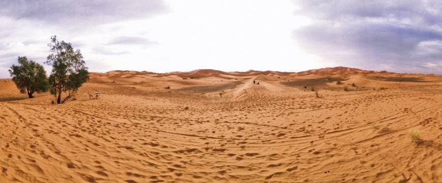 Place Desert Glamping