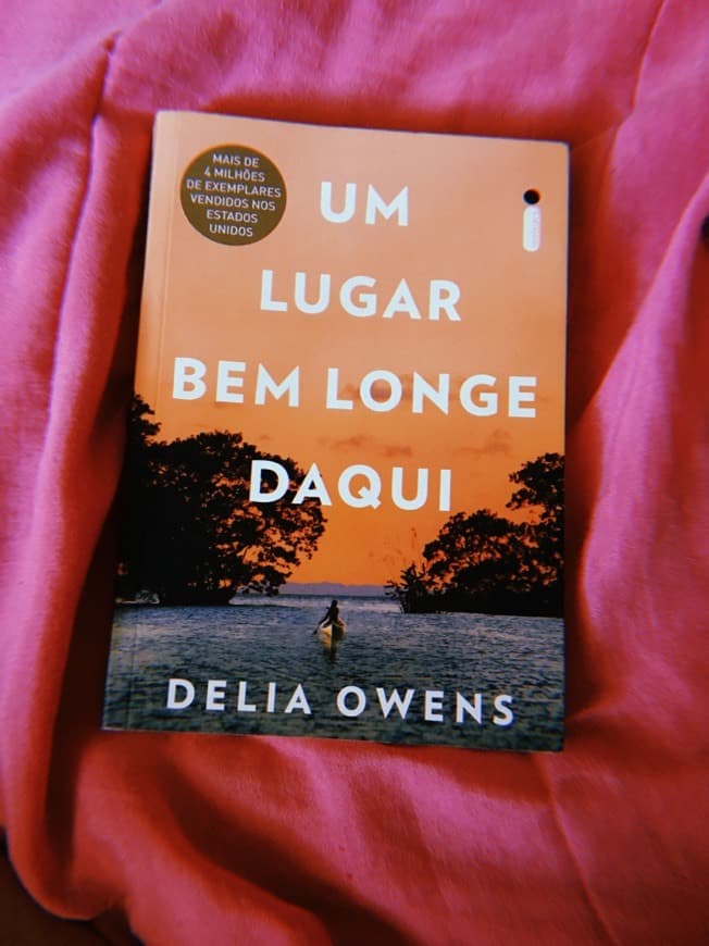 Book Um Lugar Bem Longe Daqui