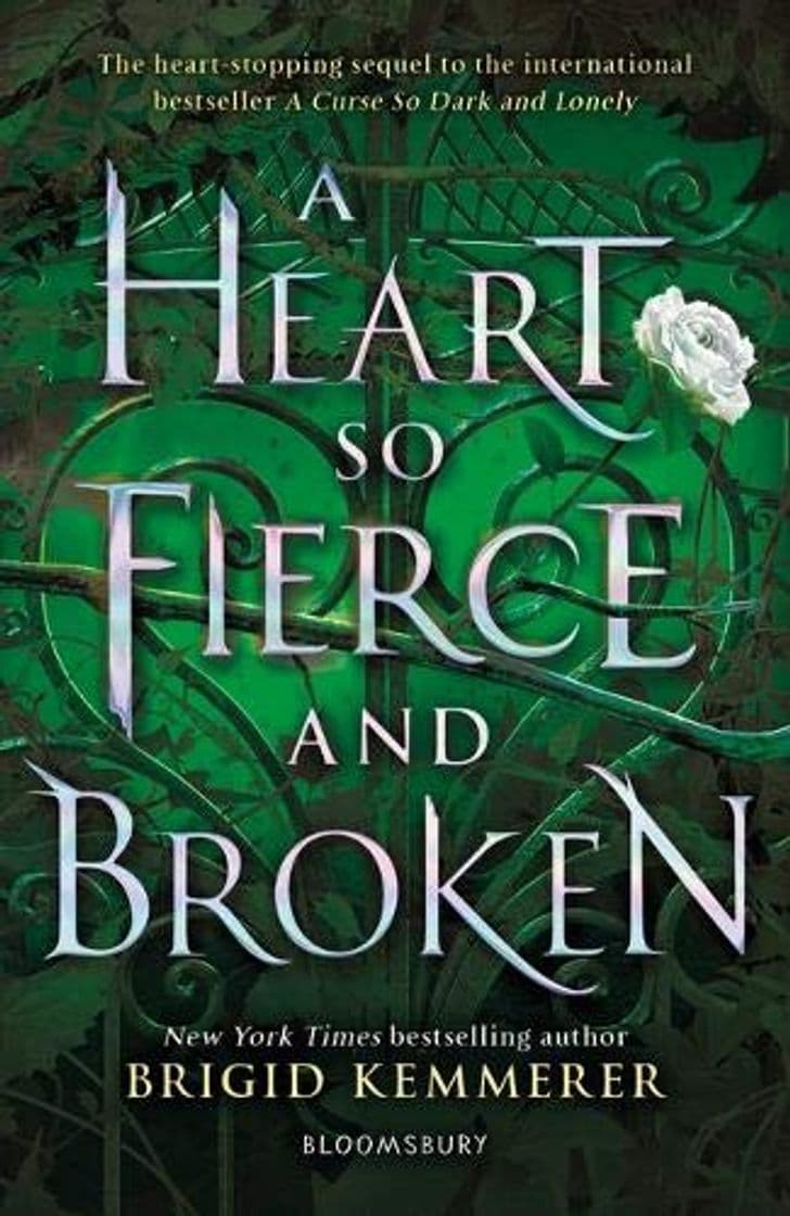 Book A Heart So Fierce and Broken