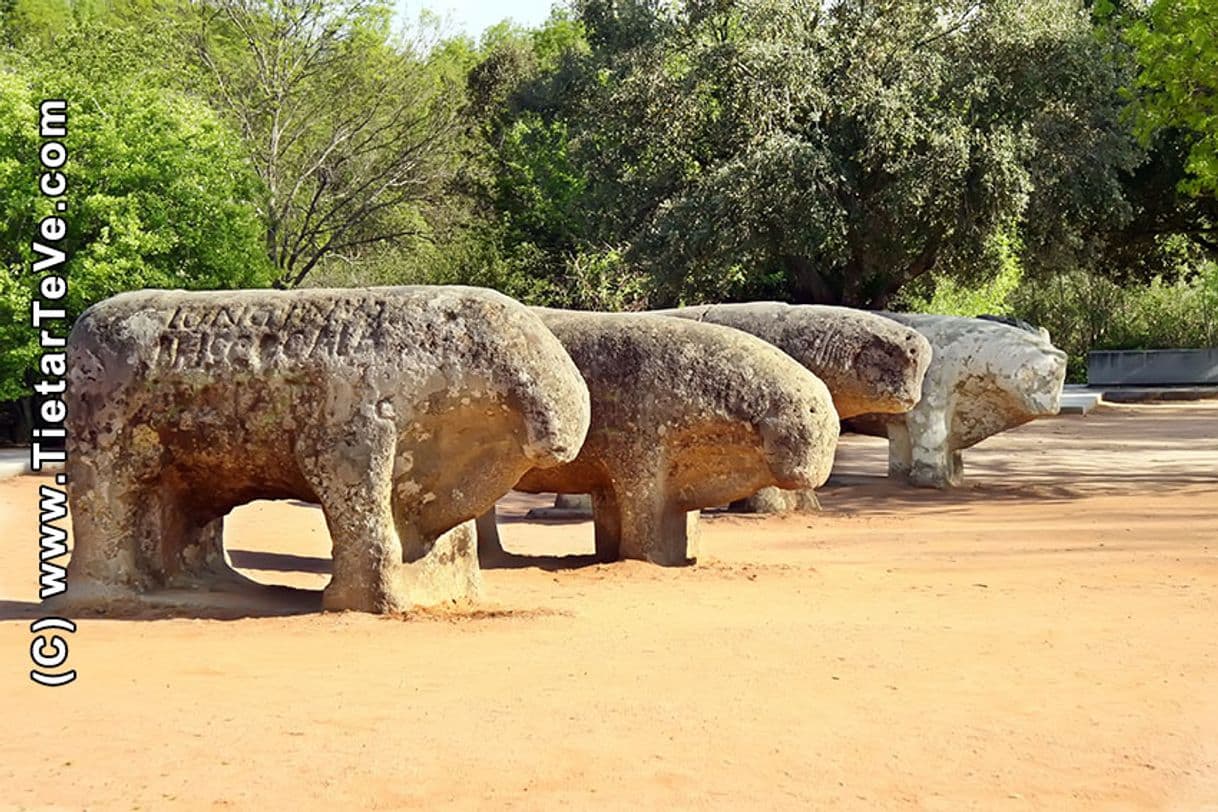 Lugar Toros de Guisando