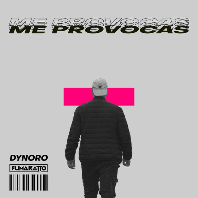 Canción Me Provocas