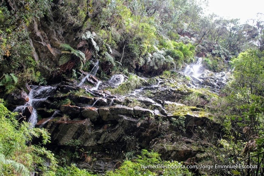 Lugar Quebrada Las Delicias