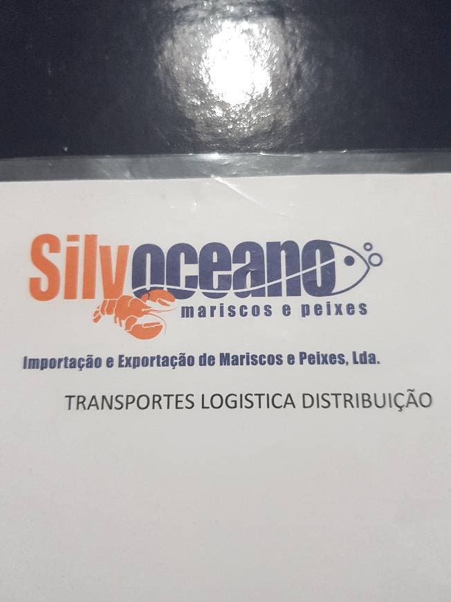 Lugar Silvoceano - Importação E Exportação De Mariscos E Peixes, Lda.