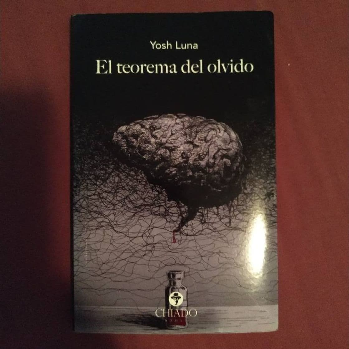 Libro El Teorema Del Olvido