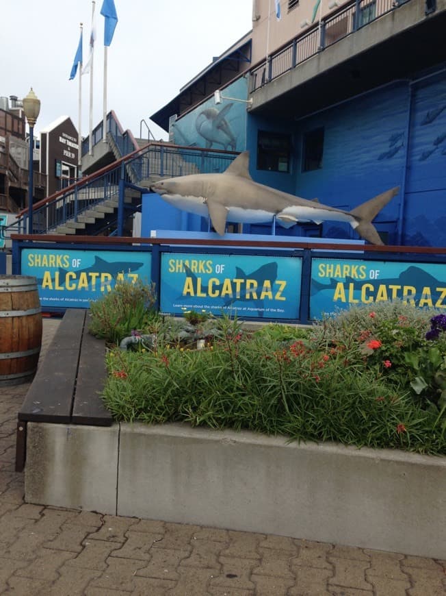 Lugar Isla de Alcatraz