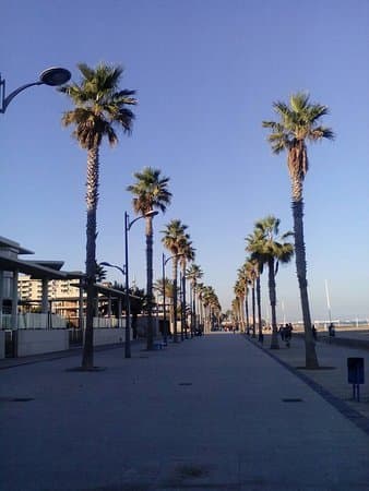 Lugar Playa de la Patacona