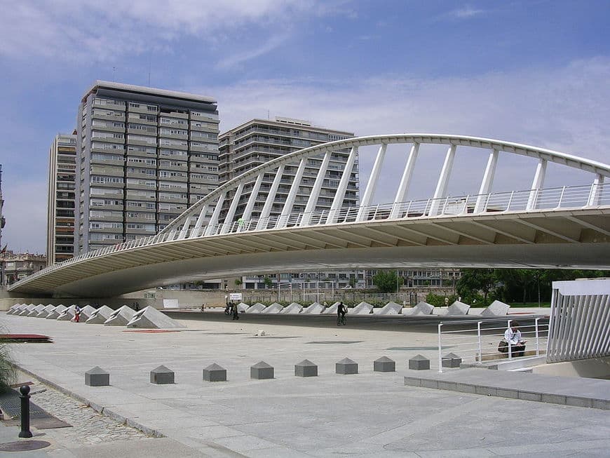 Lugar Puente de la Peineta