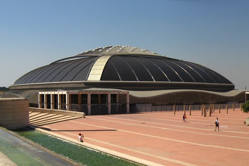 Place Palau Sant Jordi