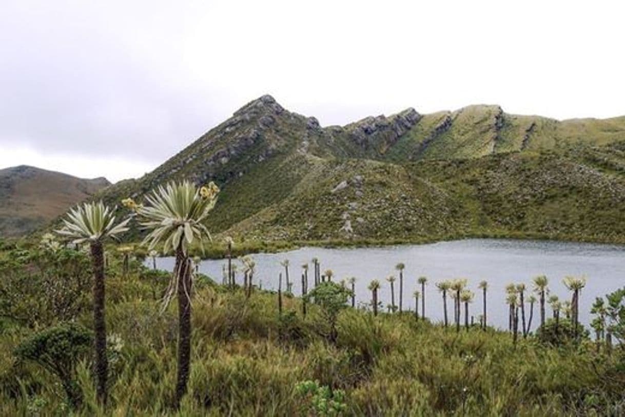 Lugar Parque Nacional Natural Chingaza