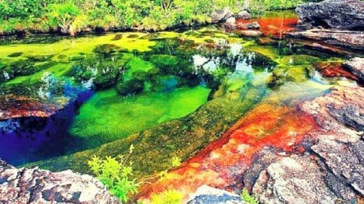 Lugar Caño Cristales