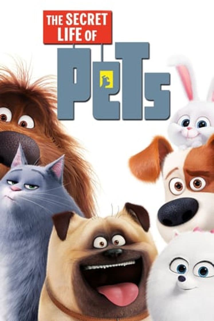 Película The Secret Life of Pets