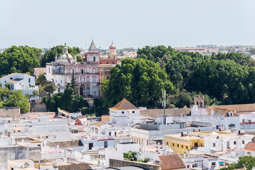 Restaurantes Sanlúcar de Barrameda