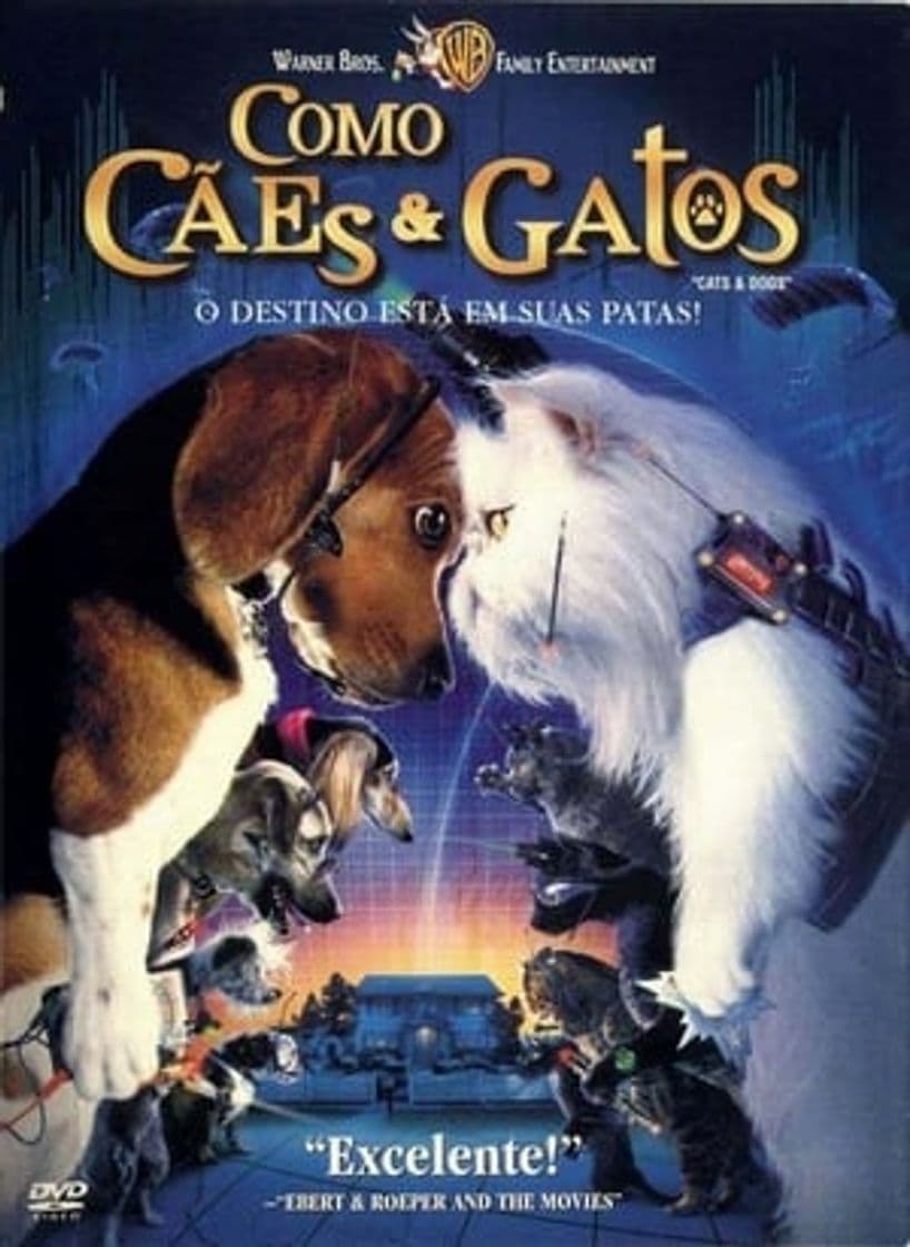 Película Cats & Dogs