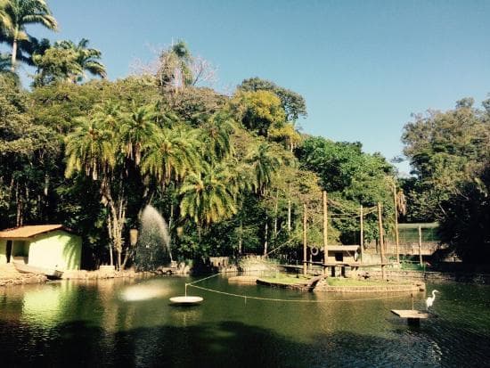 Lugar Zoológico Municipal de Campinas Bosque do Jequitibas