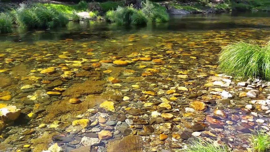 Lugar Rio Alfusqueiro