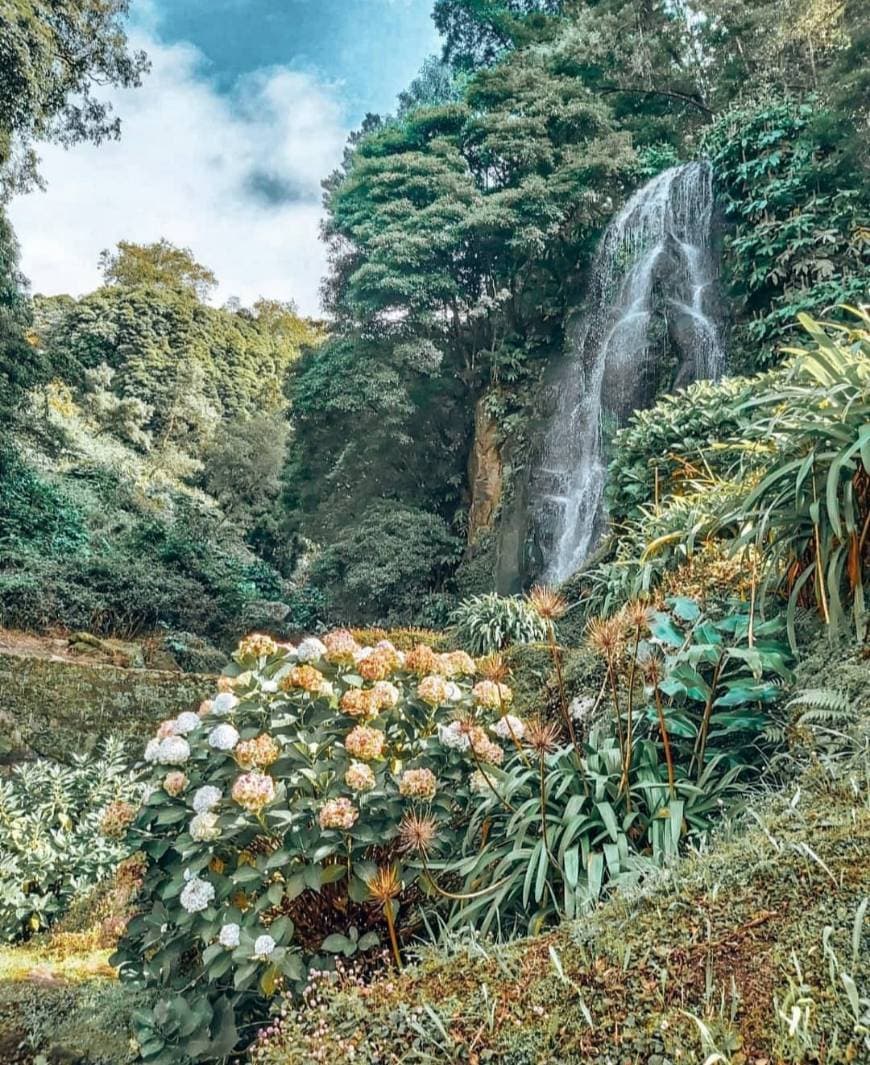 Place Parque Natural da Ribeira dos Caldeirões