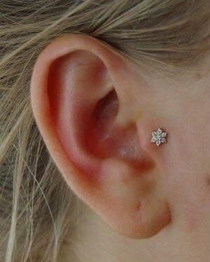 Fashion Tragus