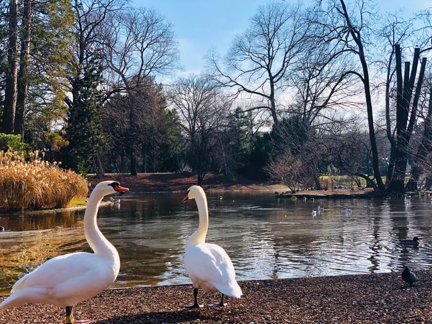 Lugar Stadtpark